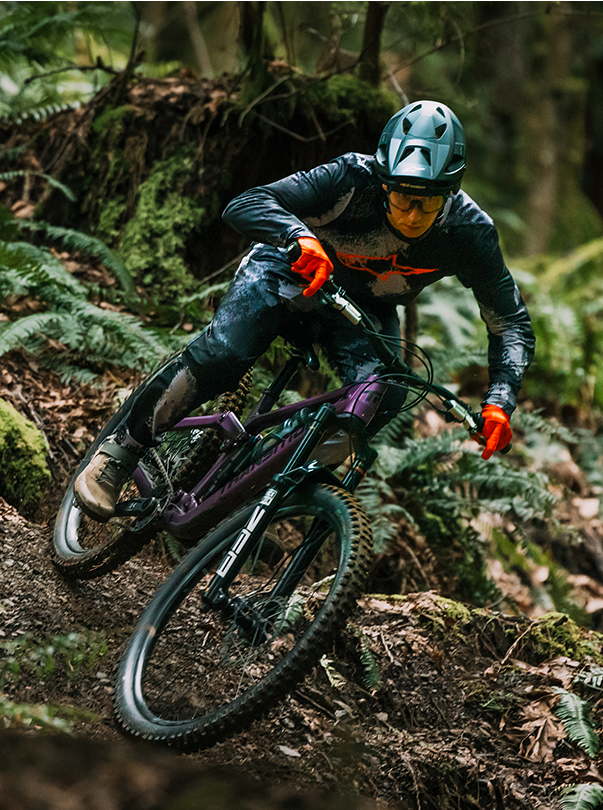 MTB Collection