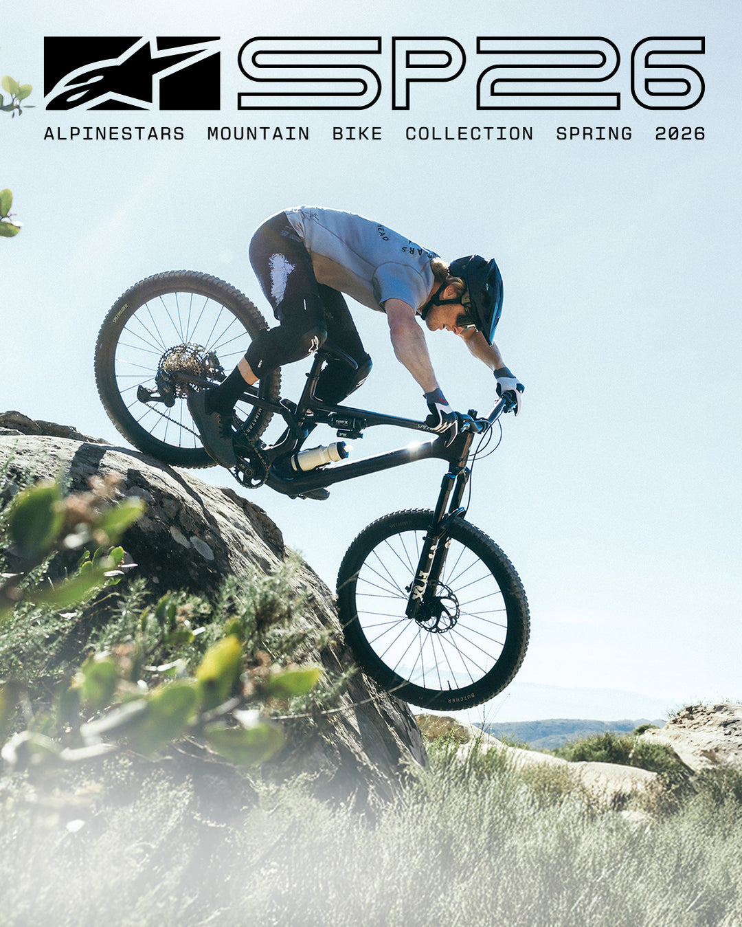 Image 24106912415802