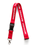 Linear Lanyard