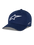 Ageless Multi Hat