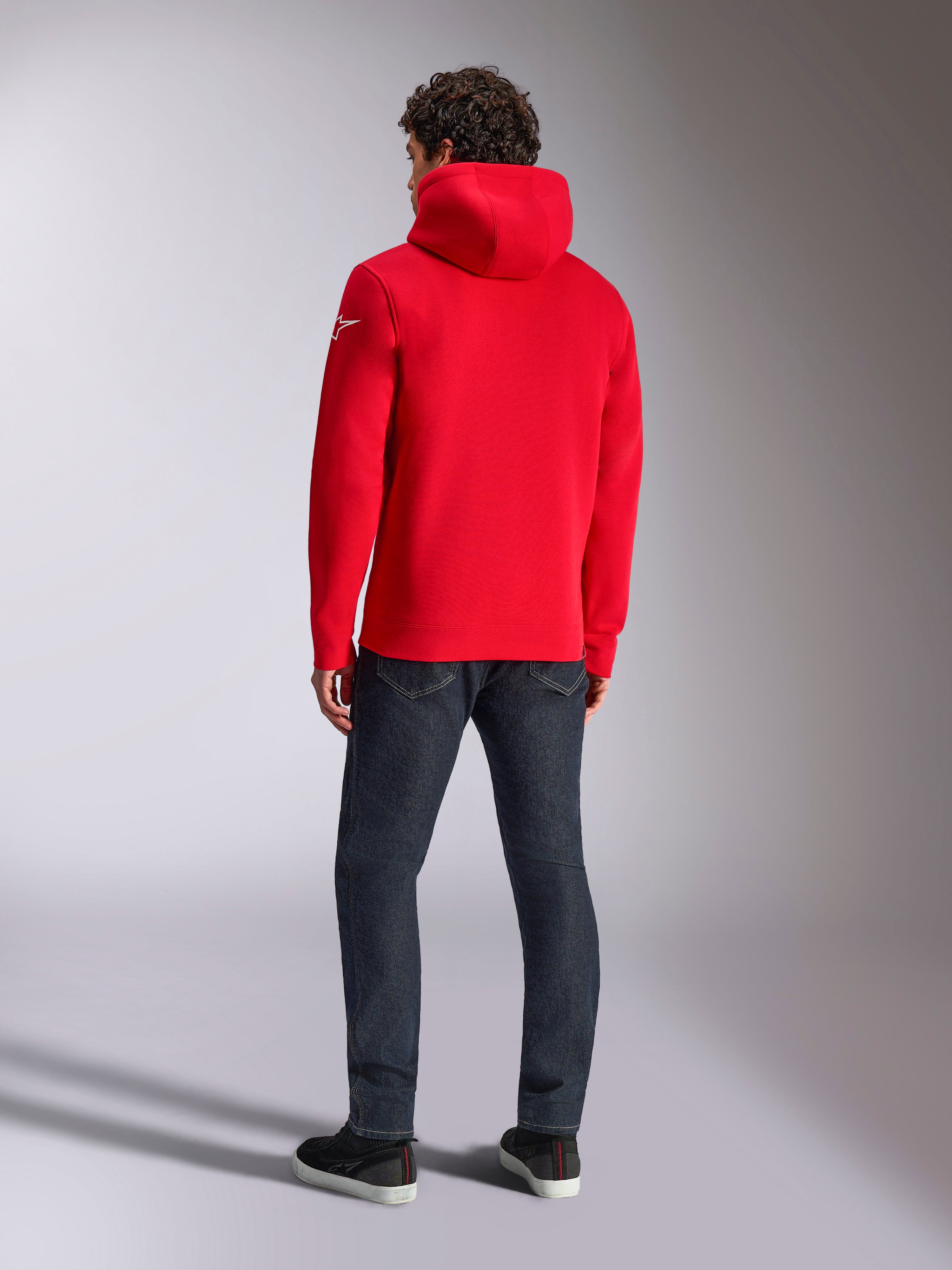 Linear Wordmark V3 Hoodie | Alpinestars®