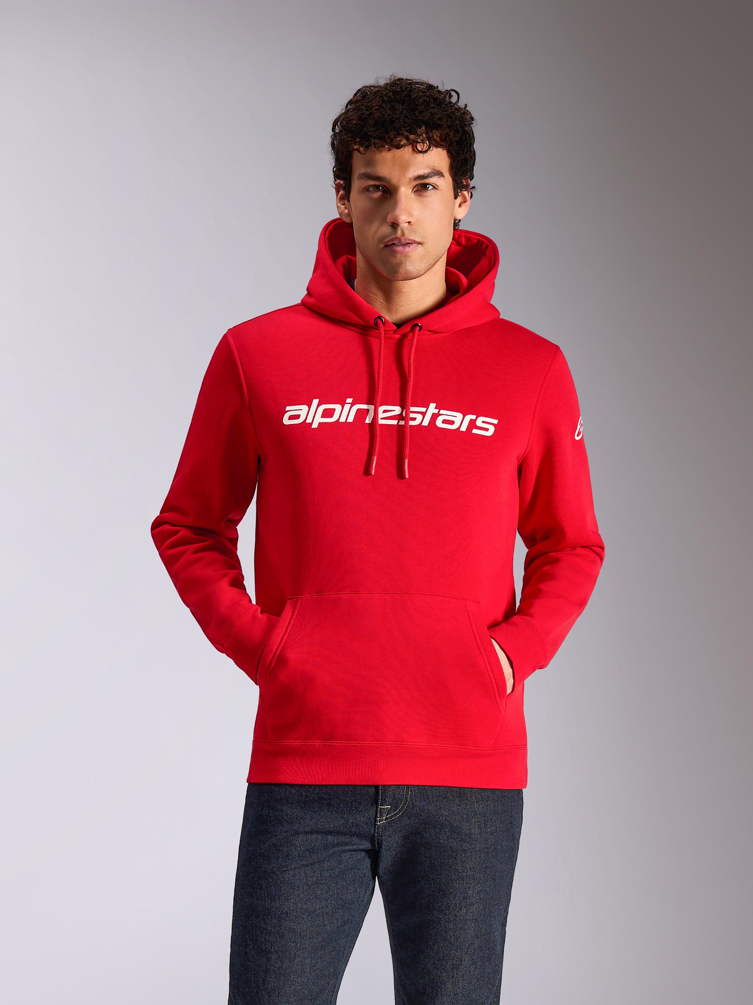 Linear Wordmark V3 Hoodie | Alpinestars®