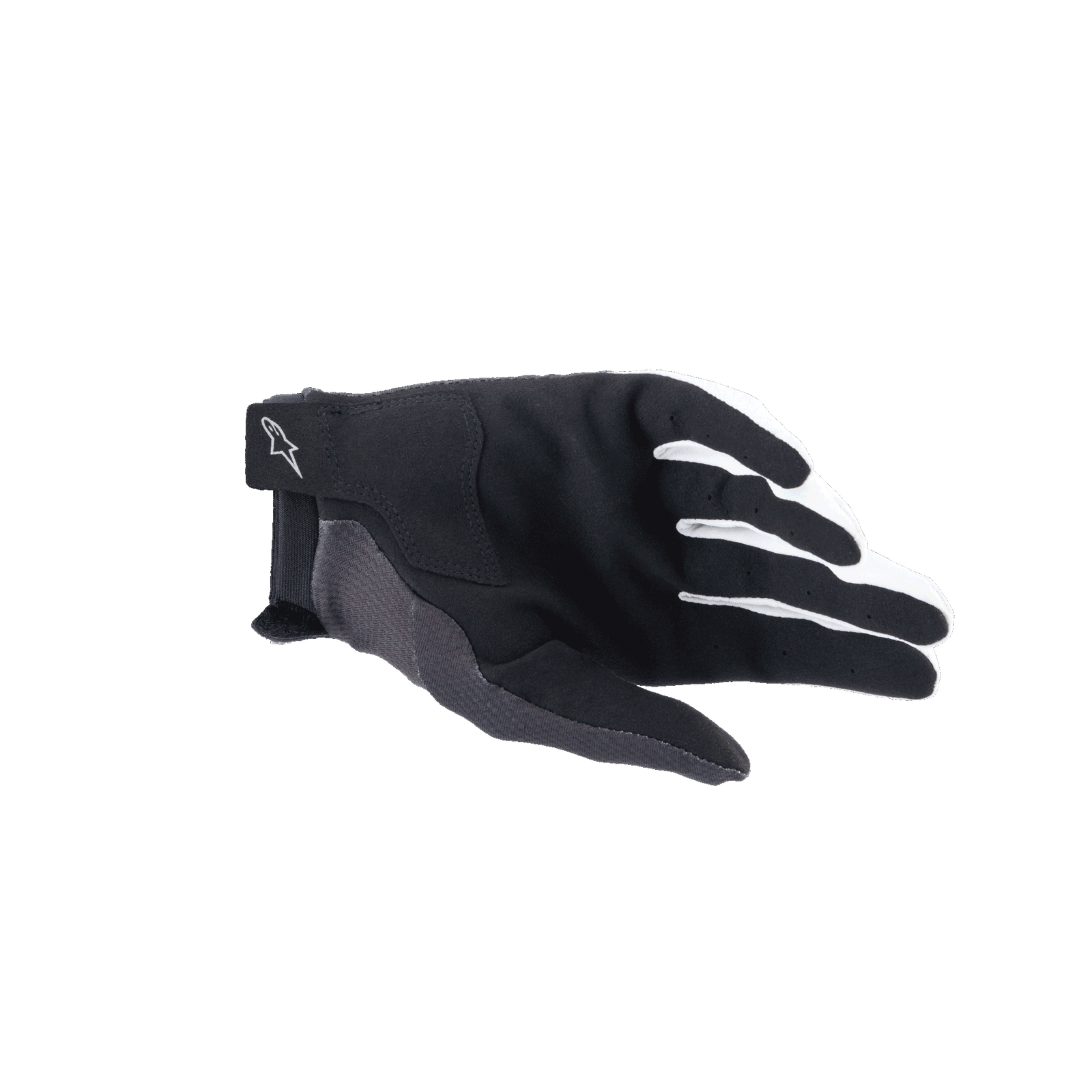 A-Aria Gloves