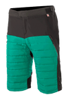 Denali Shorts
