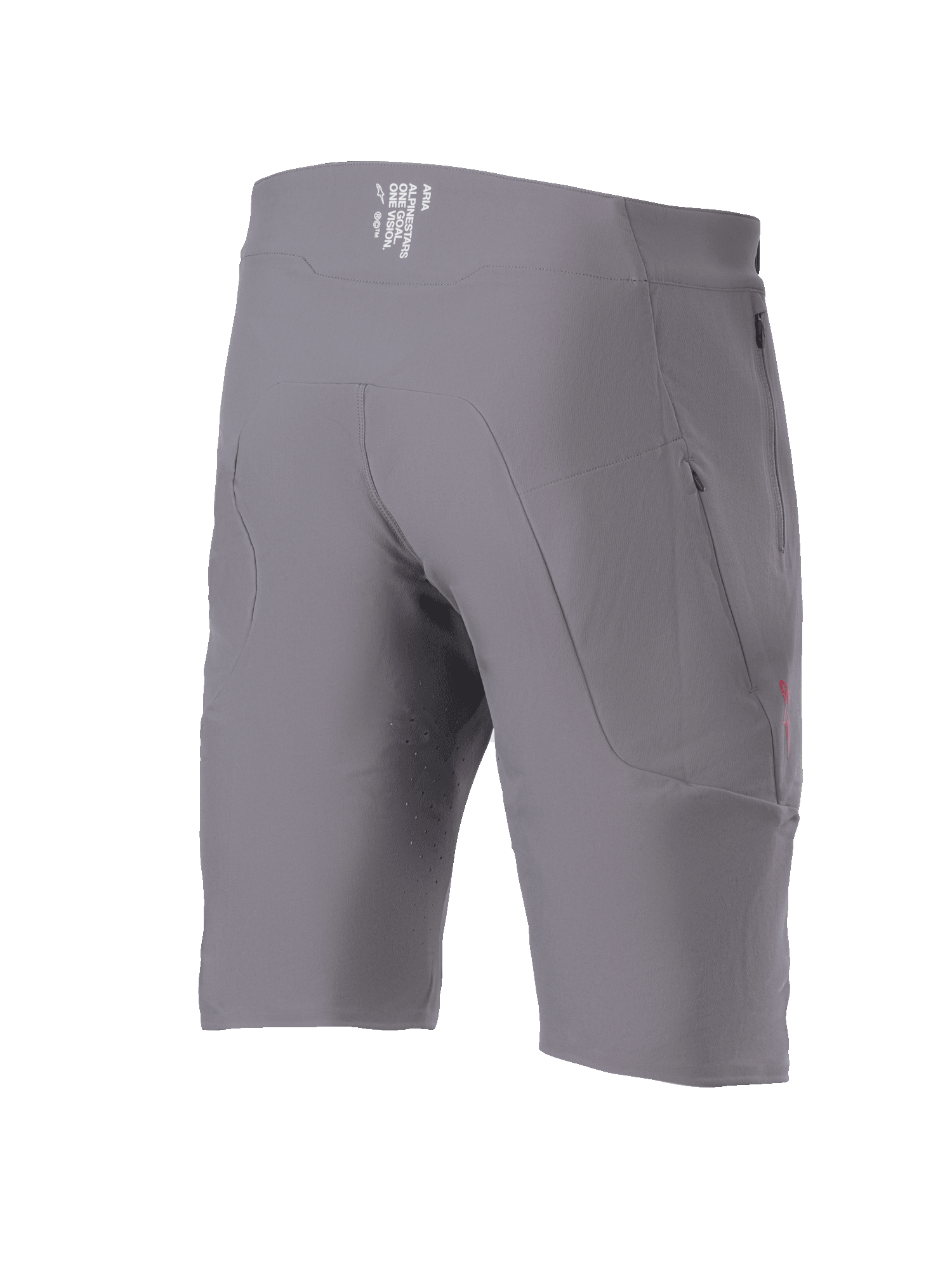 Alpinestars A-Aria Elite Shorts, Men's MTB Shorts in Dark Gray with zippered pockets and performance stretch fabric.