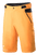 Alps 4 Shorts