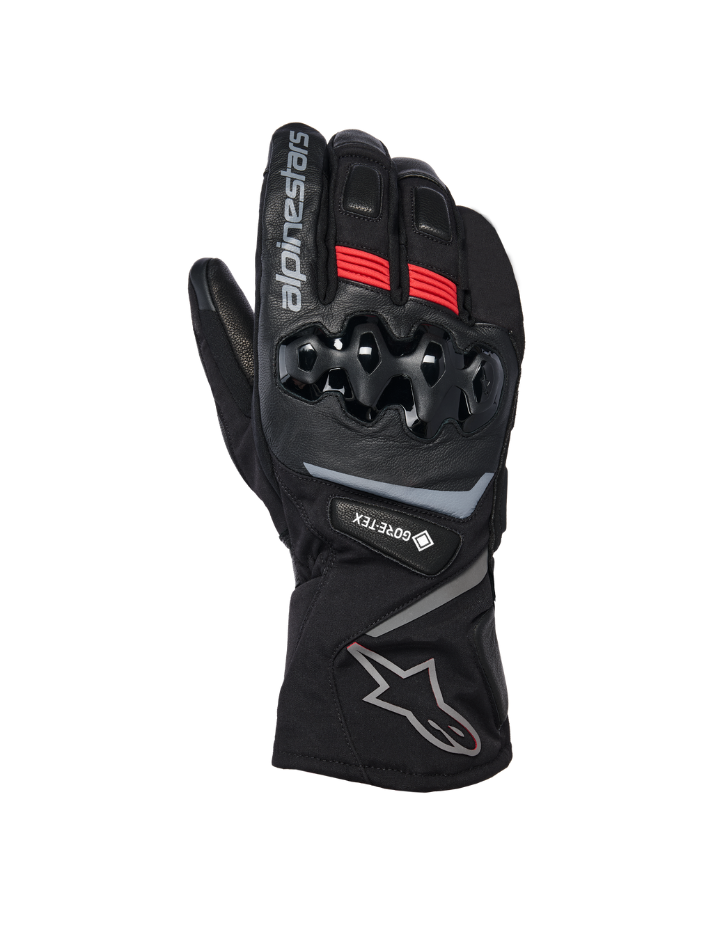  Winter Glove Mサイズ 3520326-10-fr_wt-8-goretex-