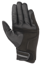 Chrome Gloves