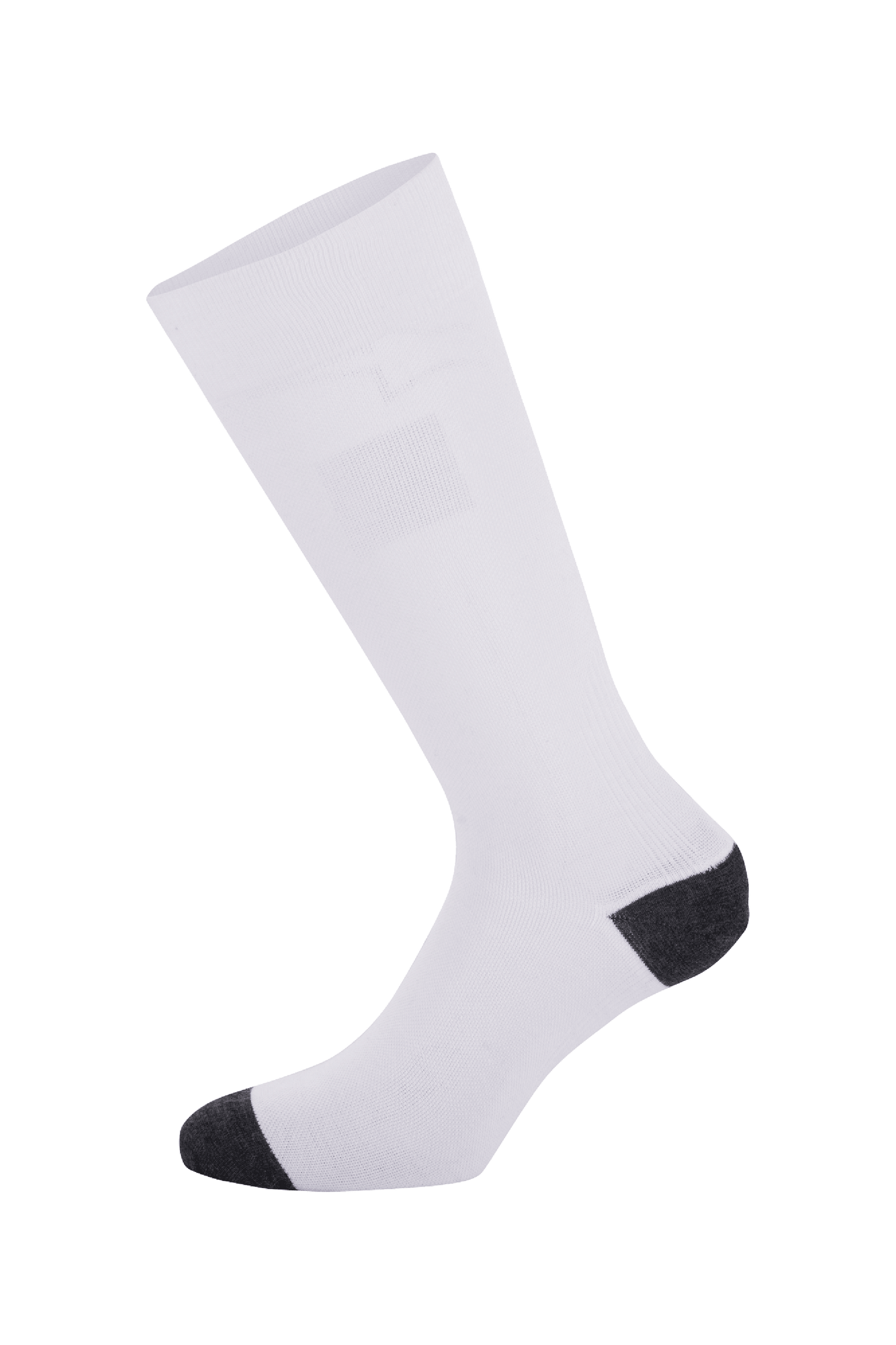 ZX V4 Socks - Motorcycle Socks | Alpinestars® ZX V4 Socks - Motorcycle Socks | Alpinestars®