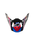 Supertech M10 Era Visor
