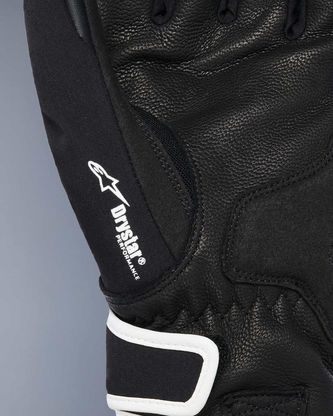 Image 23287056990266