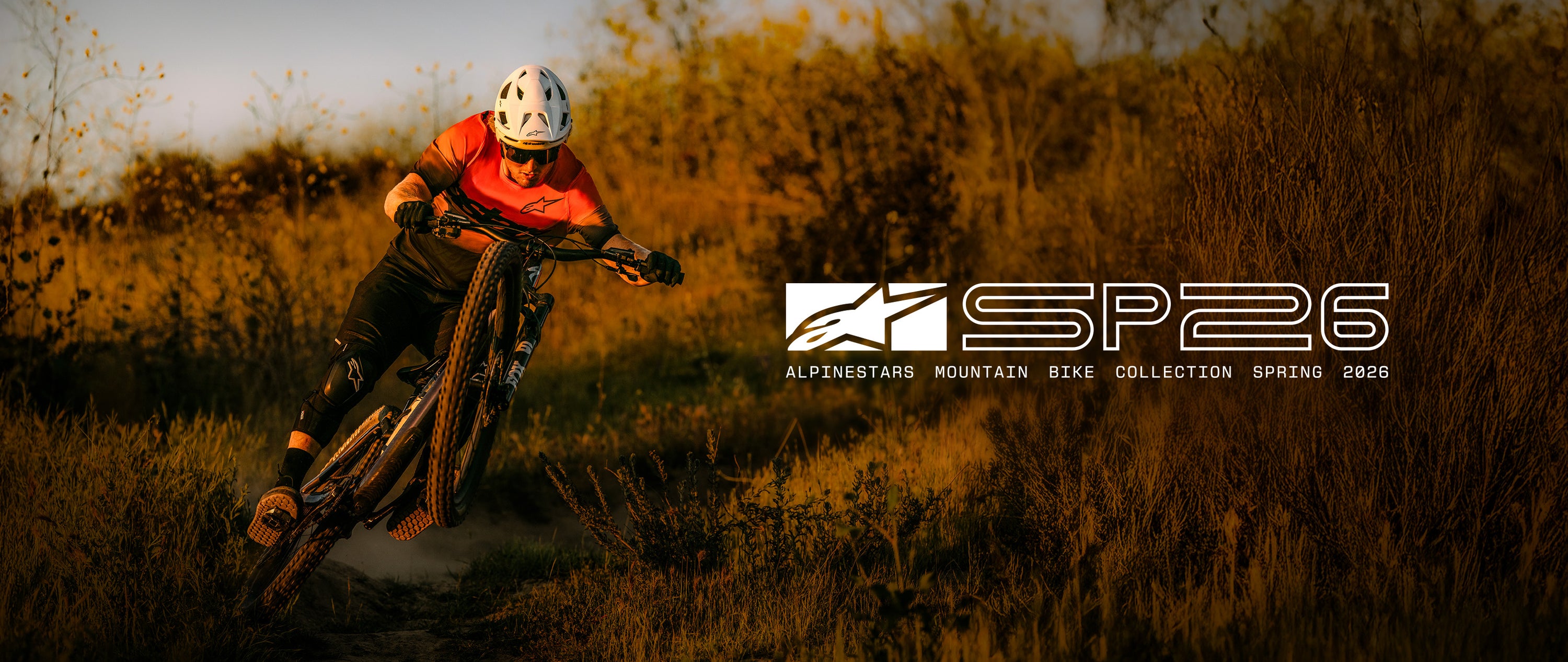 Image 24106655285306