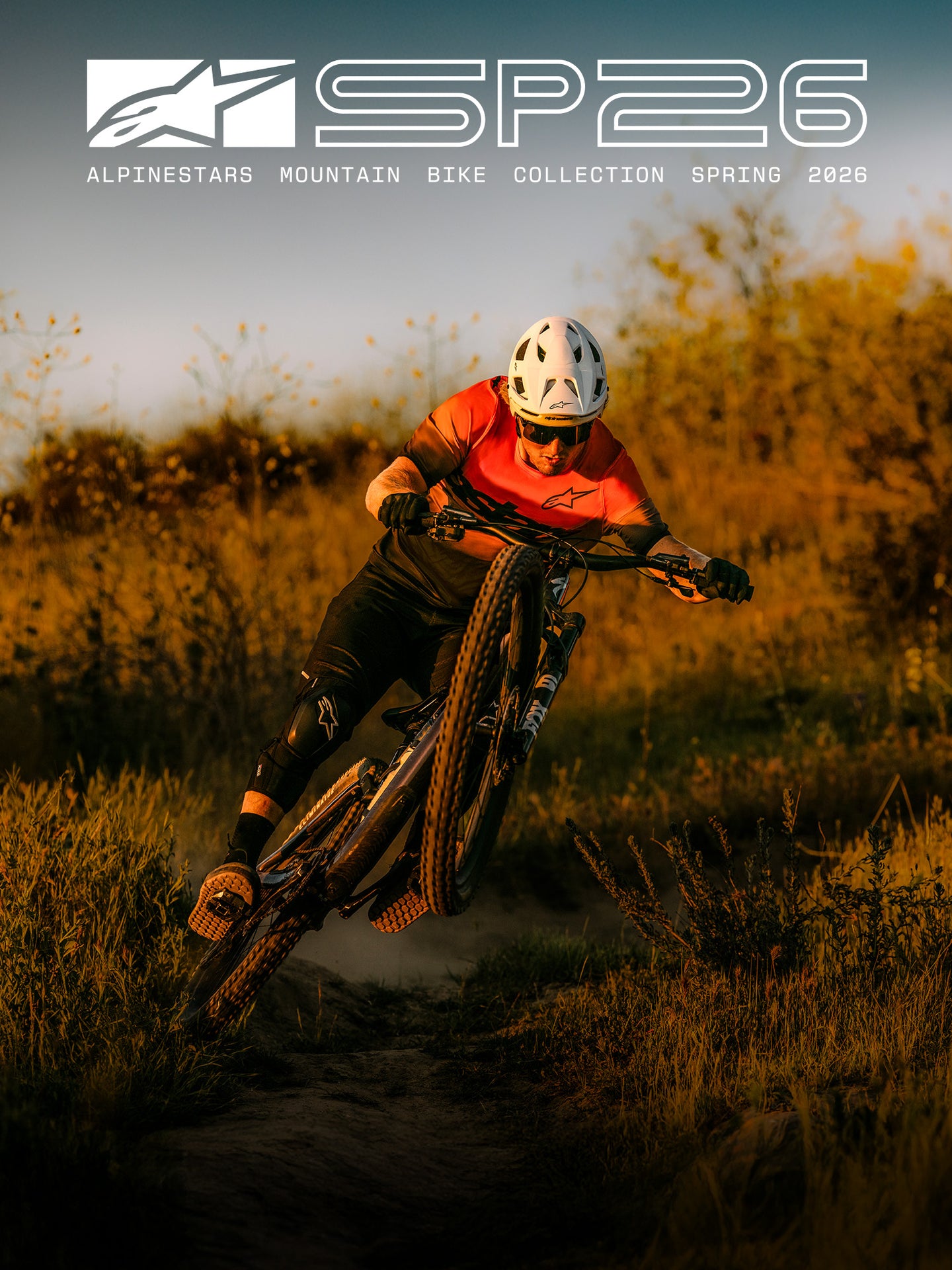 Image 24106655252538