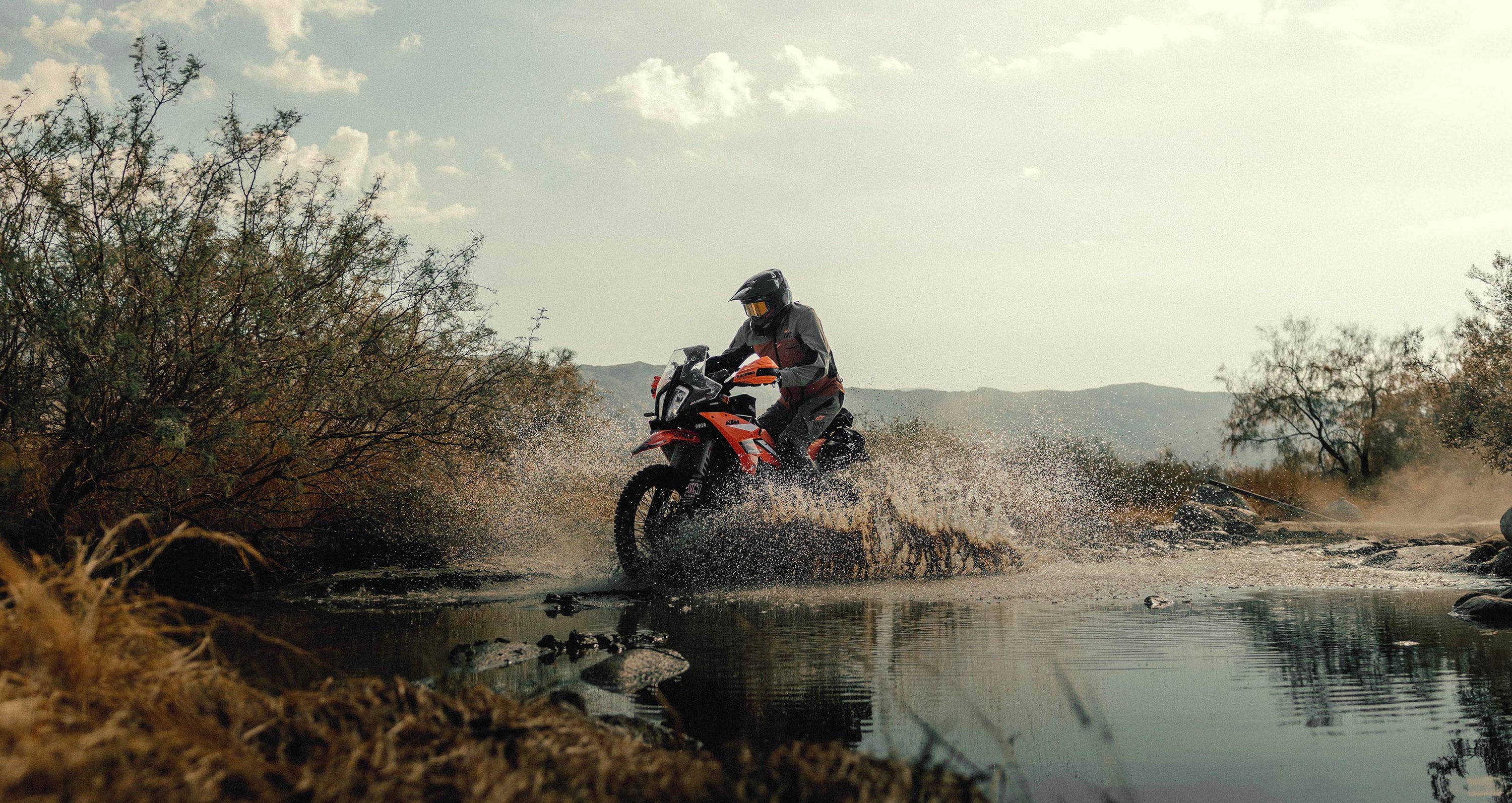 Image 23263119441978