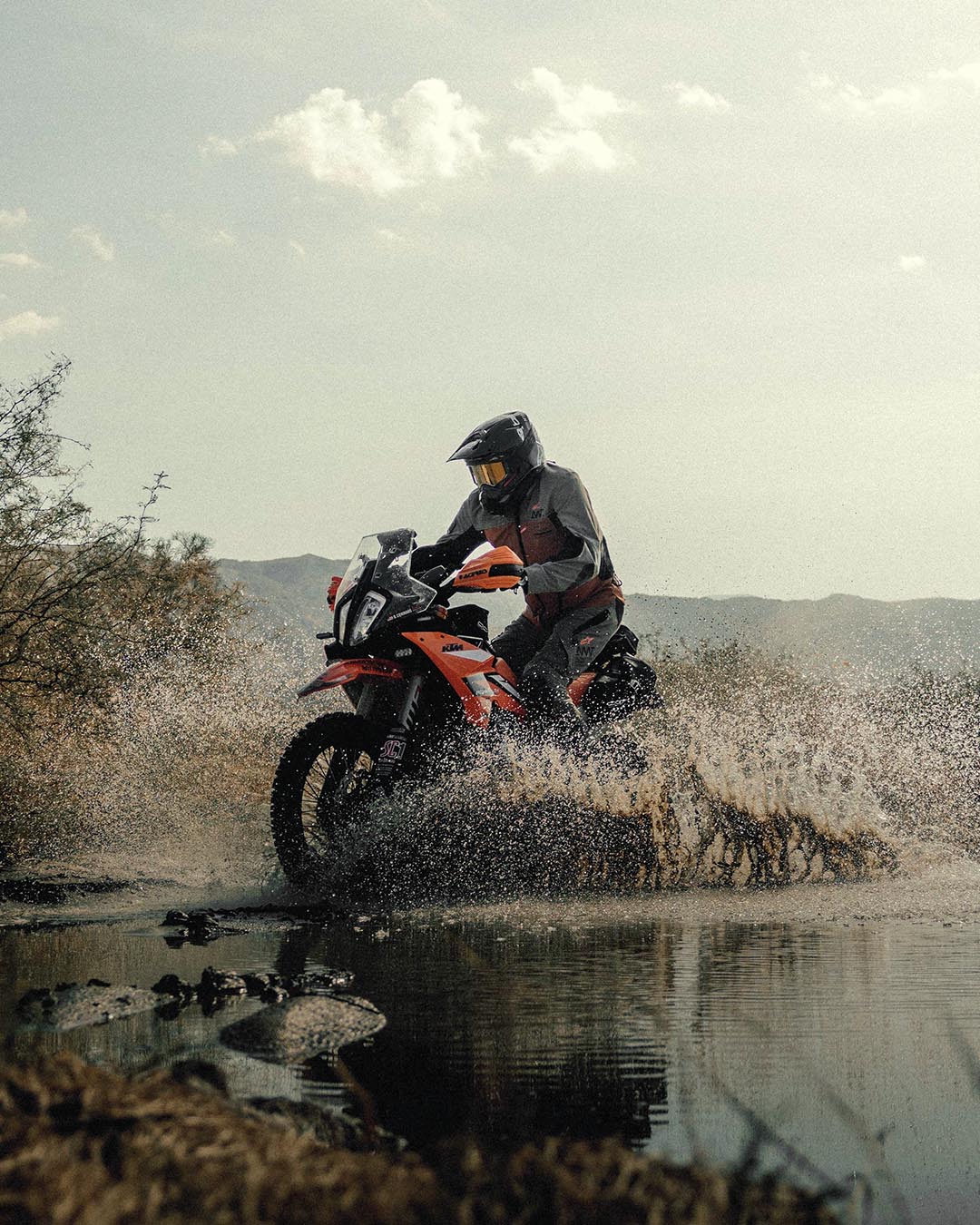 Image 23263119114298