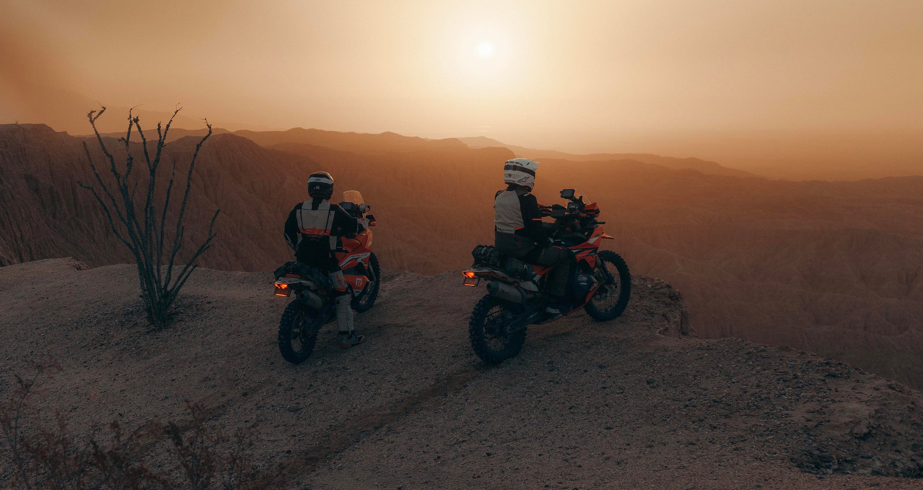 Image 23272338686010