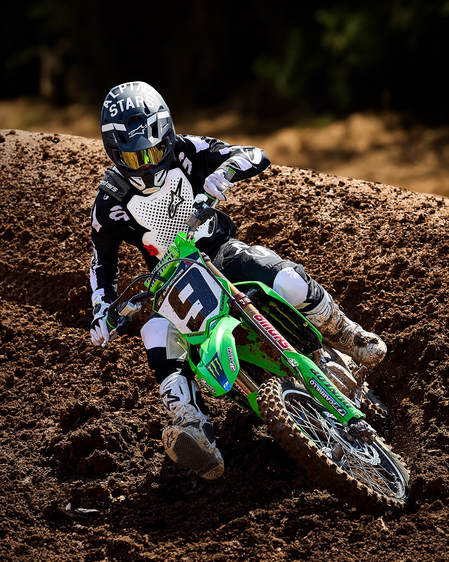 Image 23423319638074