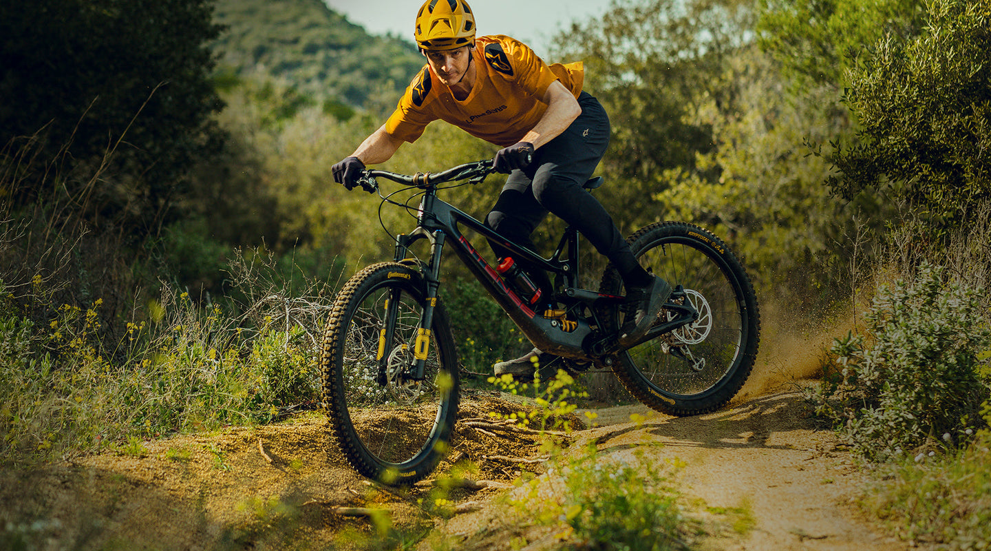 Image 21894281691194