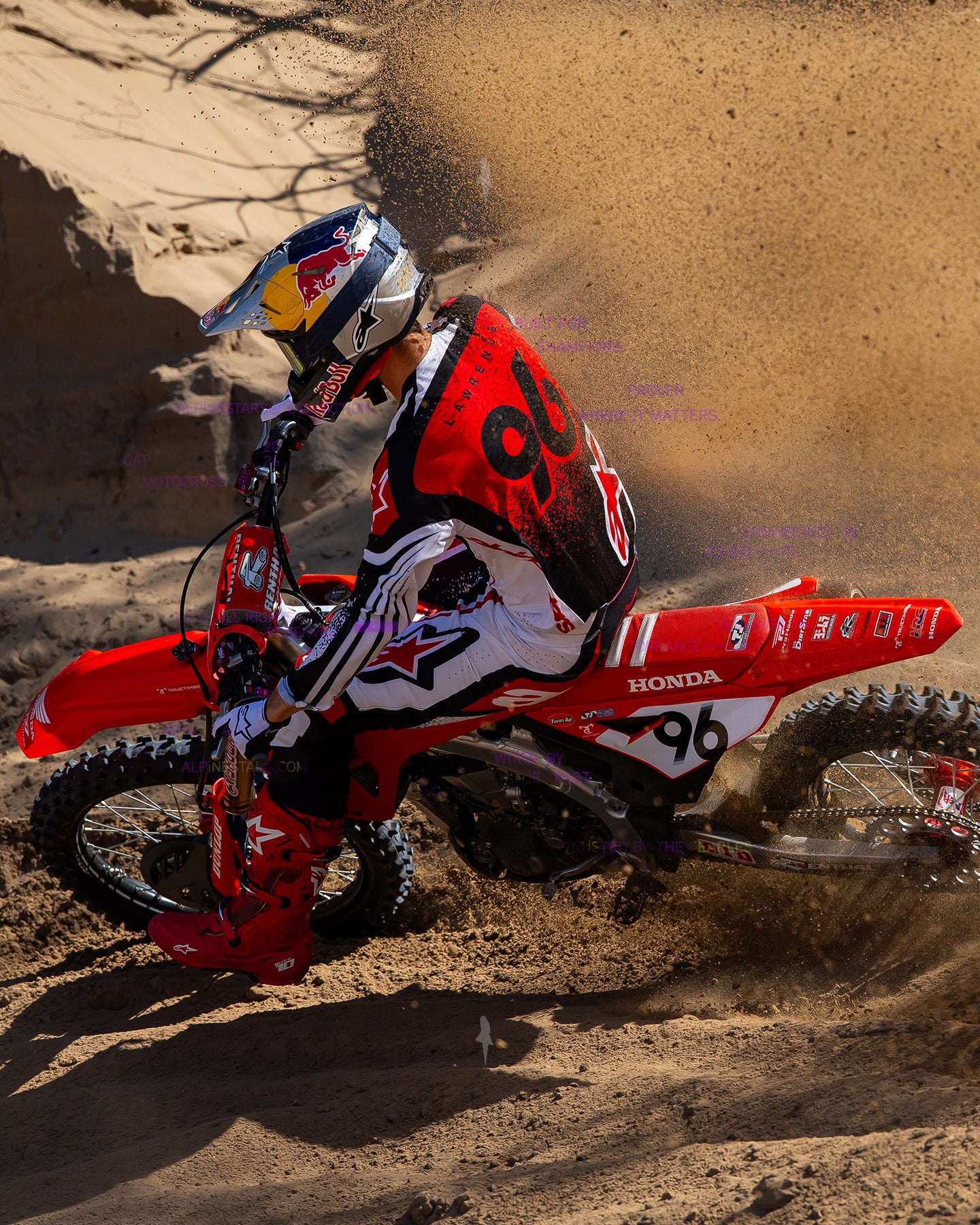 Image 23128854134842