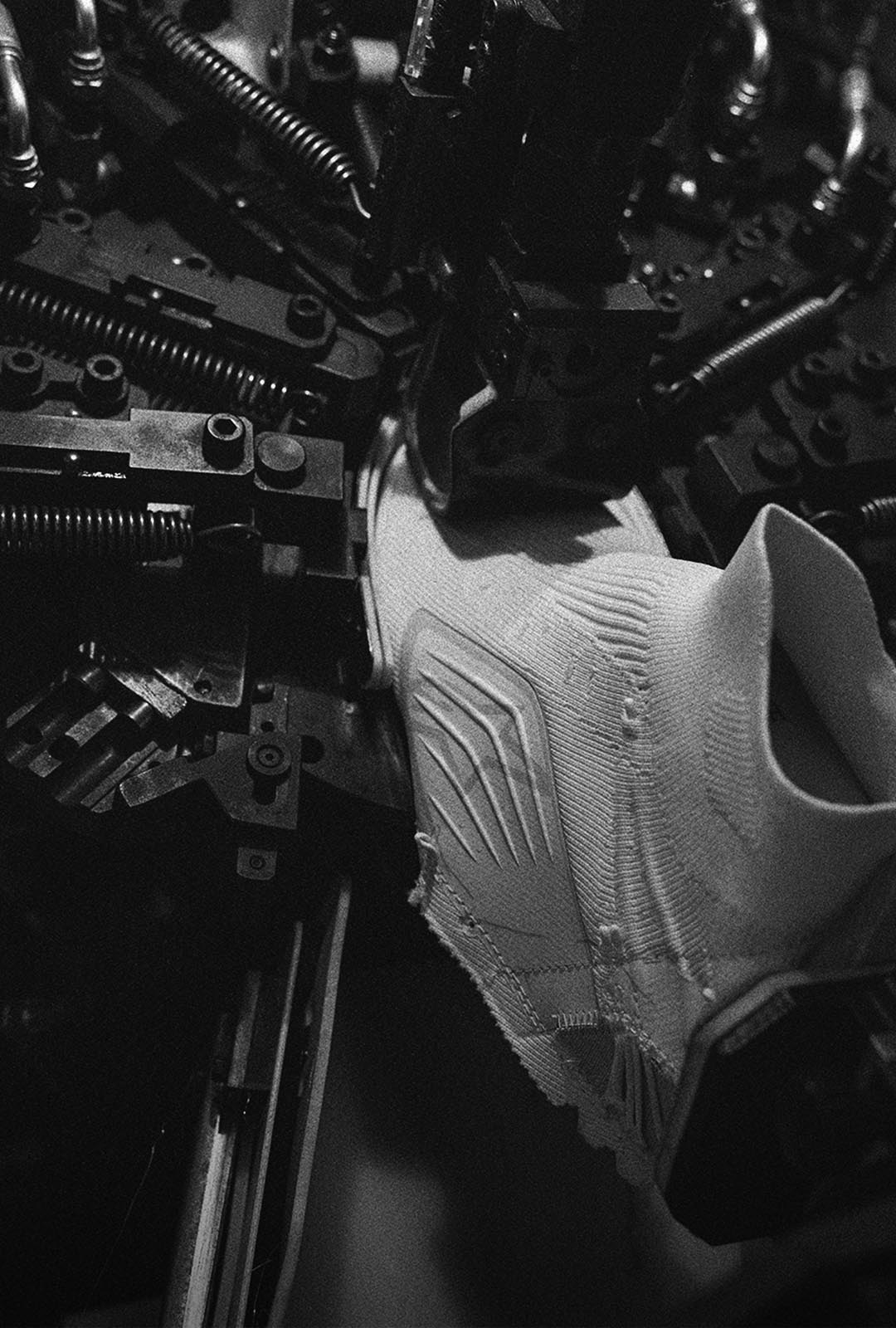 Image 23962646446138